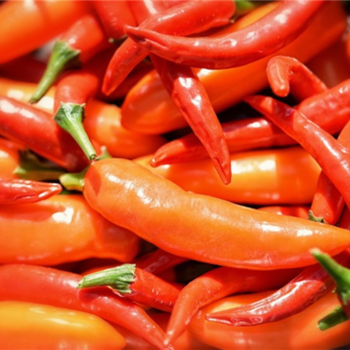 Chilli - Birdseye Thai Seeds