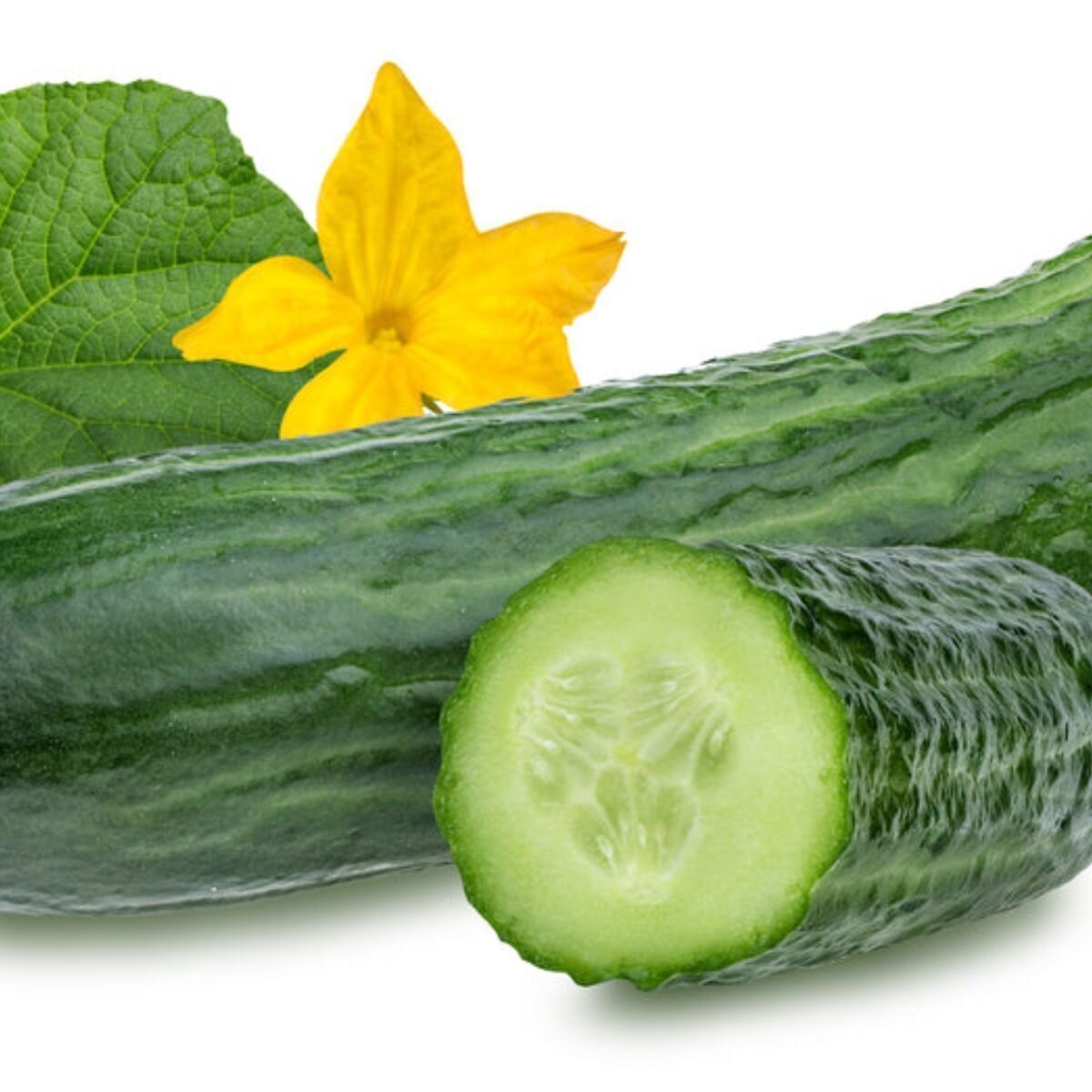 Cucumber - Marketmore 76 Seeds