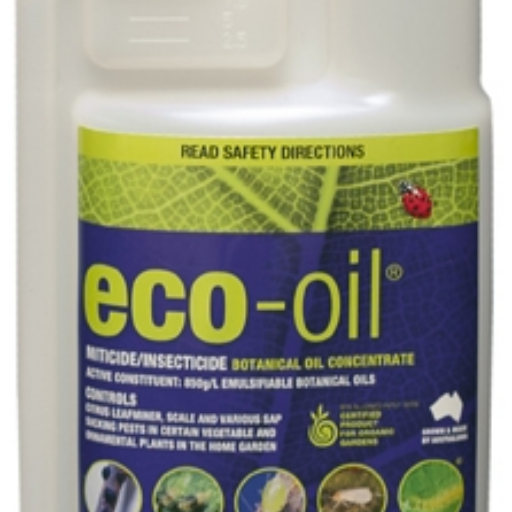 Eco-oil 250ml Concentrate