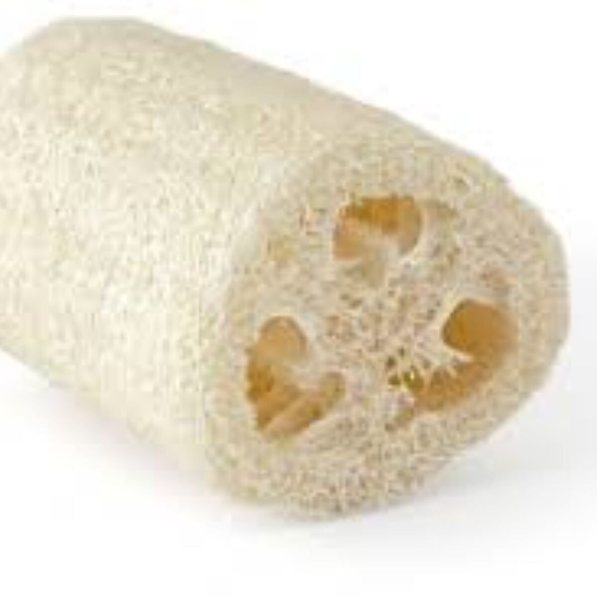 Loofah /Gourd - Luffa cylindrica Seeds