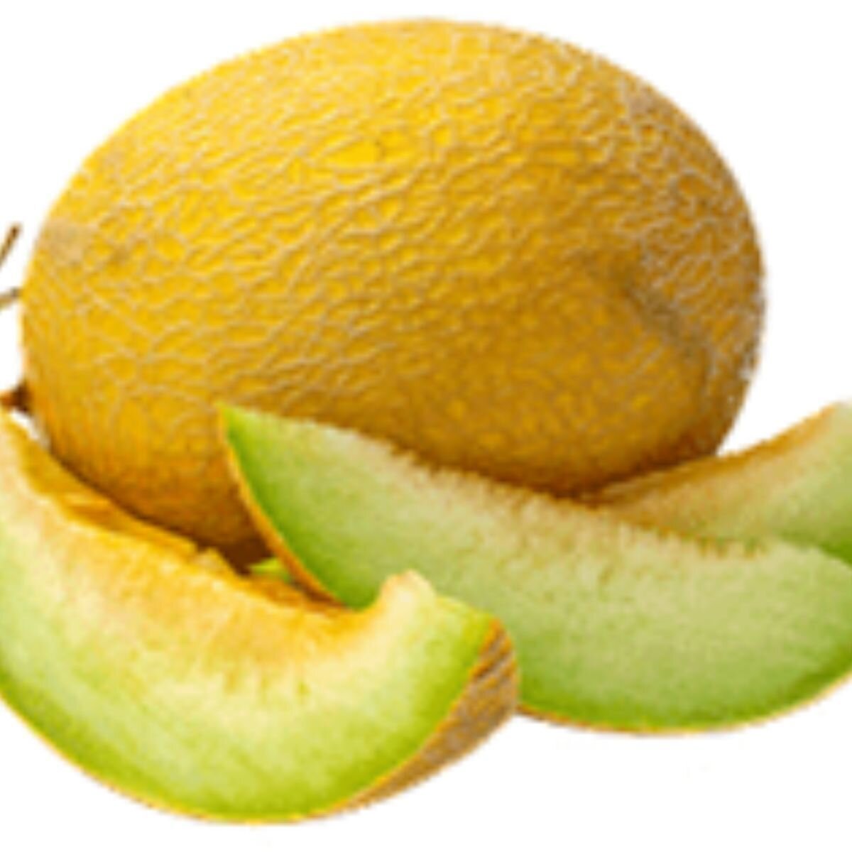 Melon - Ein Dor Seeds