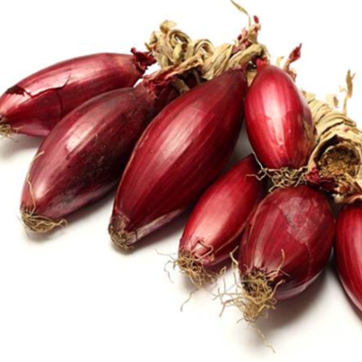 Onion - Long Tropea Red Seeds