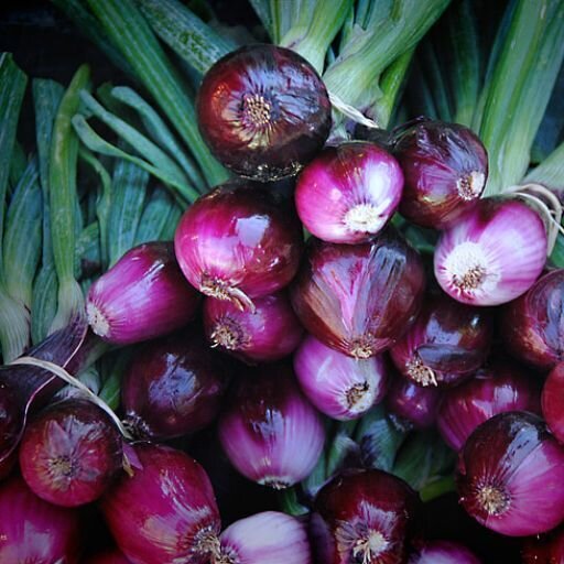 Onion 'Mini Purplette' seeds