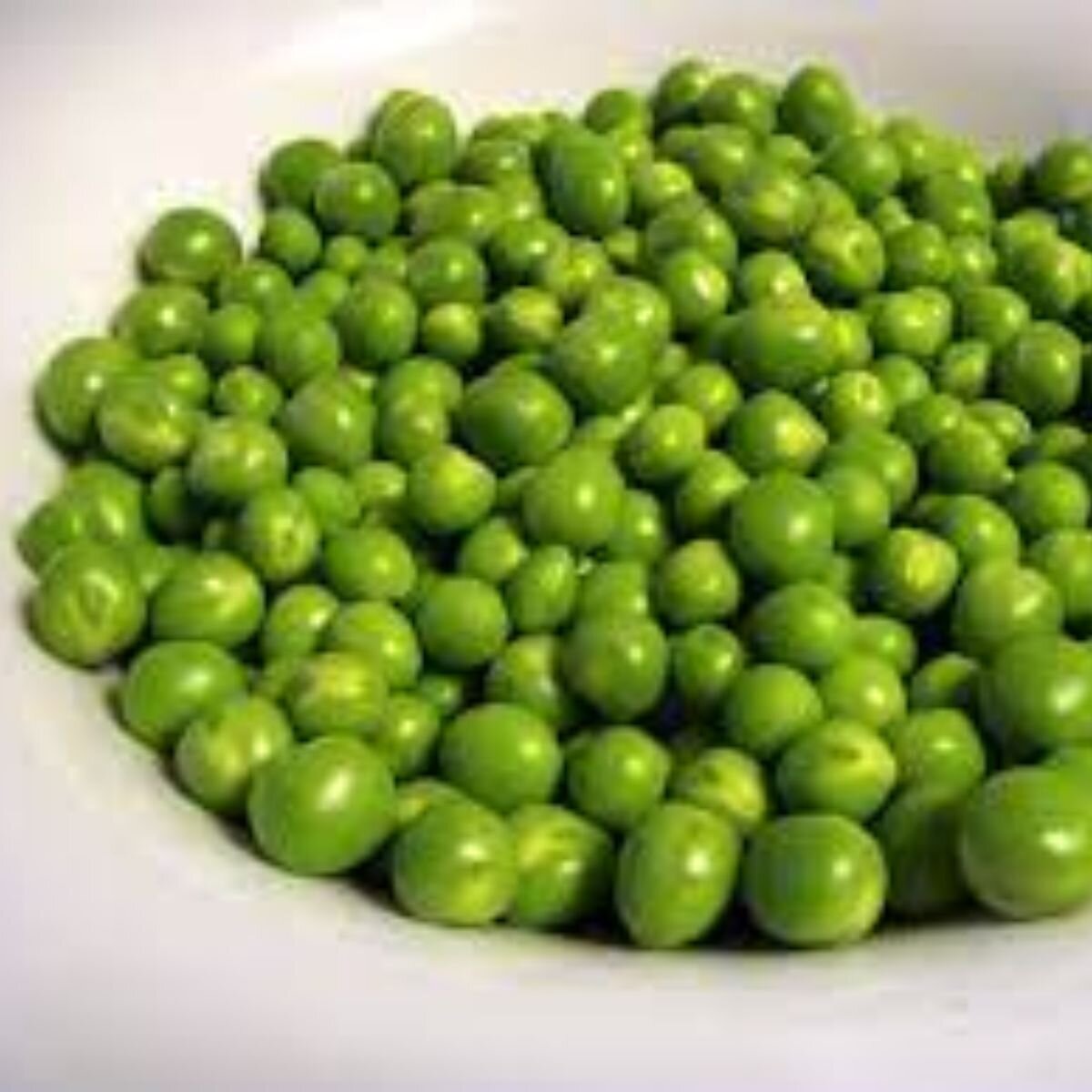 Pea - Greenfeast Seeds