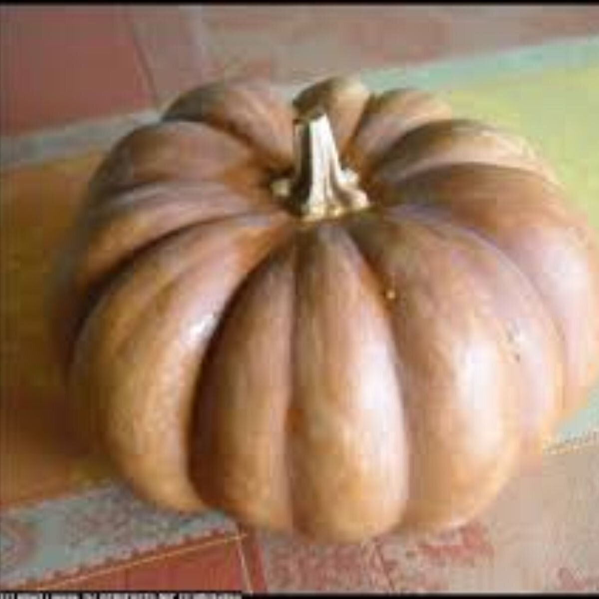 Pumpkin - Musquee De Provence Seeds