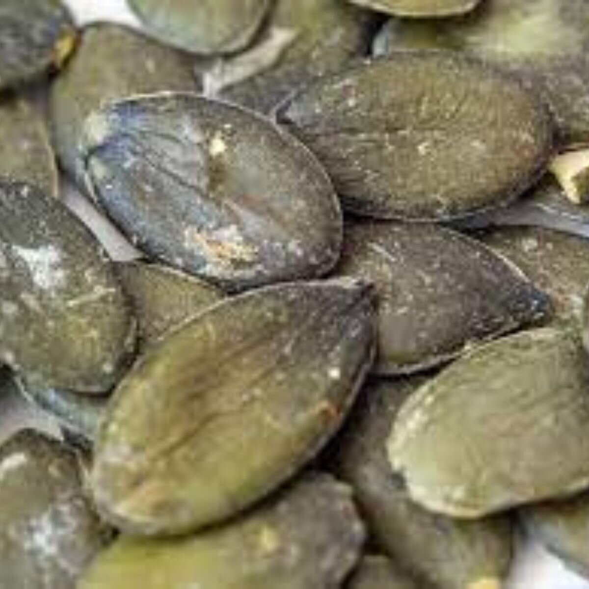 Pumpkin - Styrian Hulless Seeds