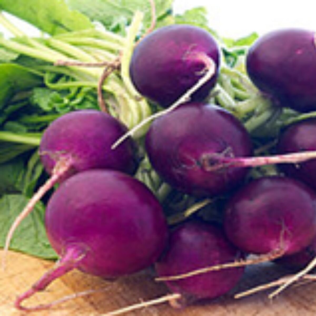 Radish - Purple Plum Seeds