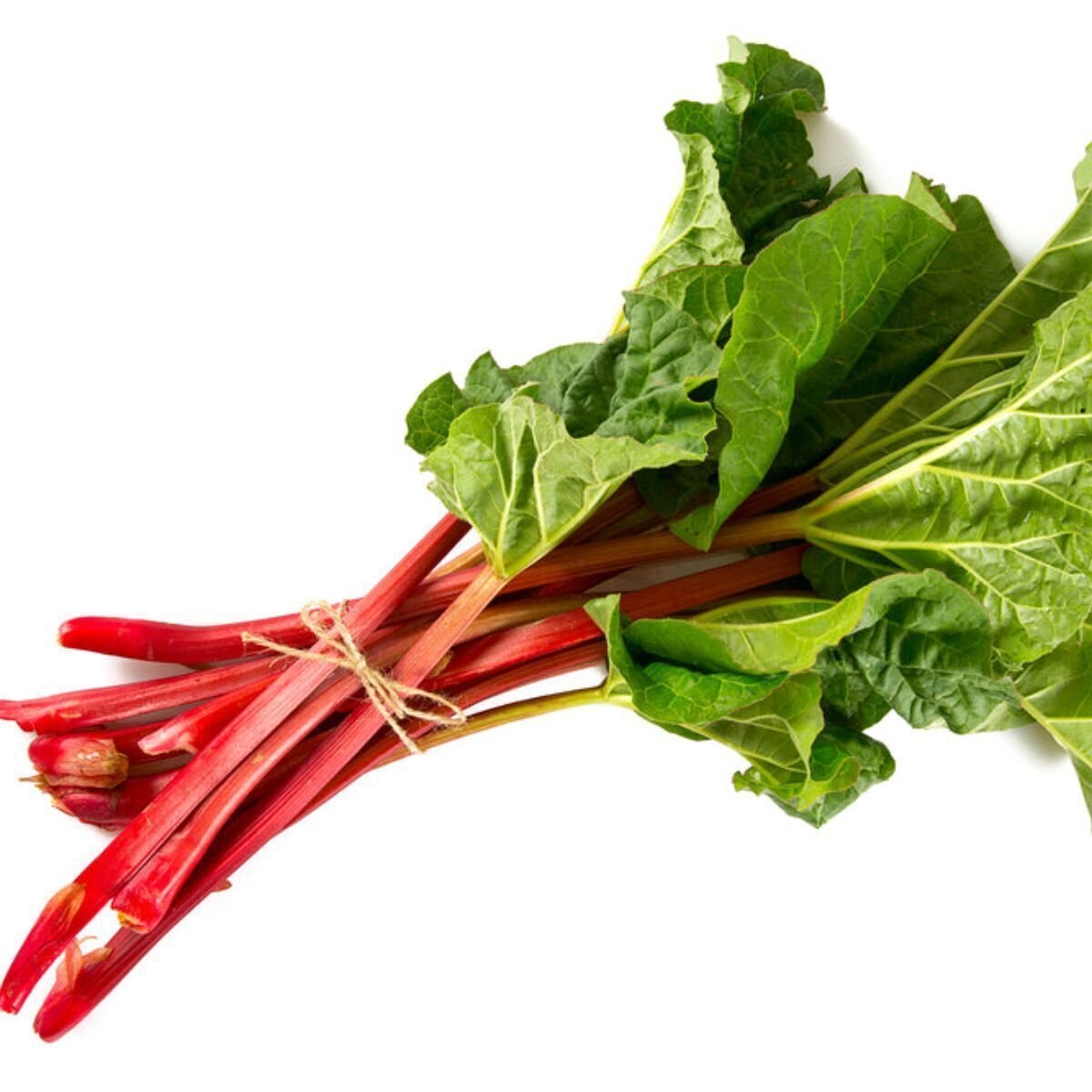 Rhubarb - Victoria Seeds