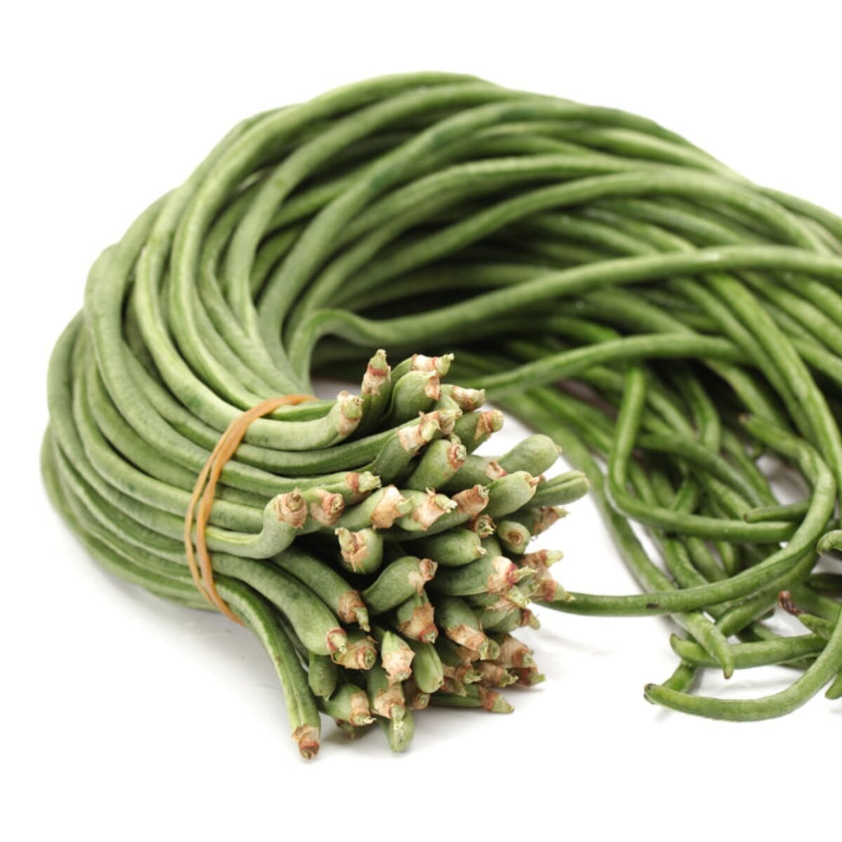 Snake Bean - Black Seeded Seeds
