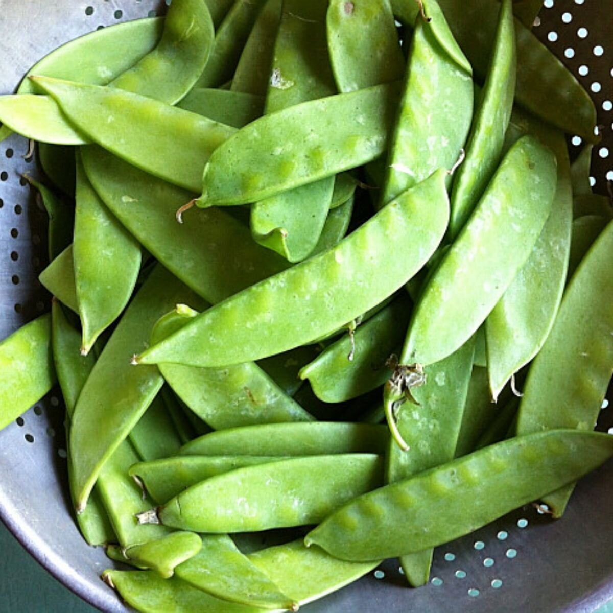 Snow Pea - Oregon Sugar Pod Seeds