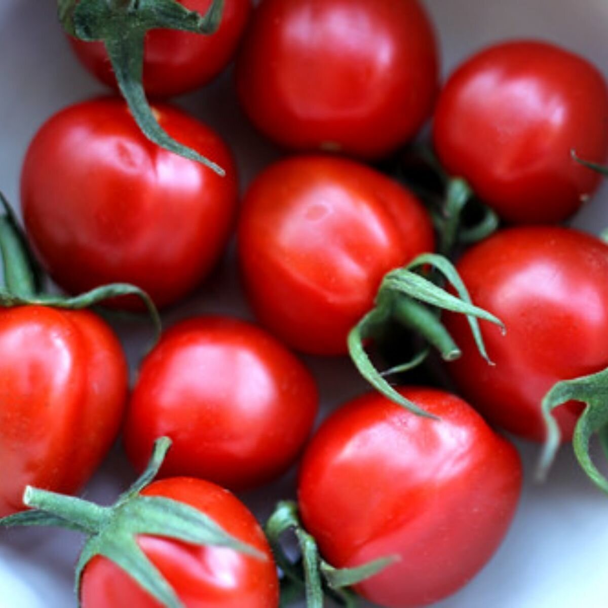 Tomato - Cherry Cocktail Seeds