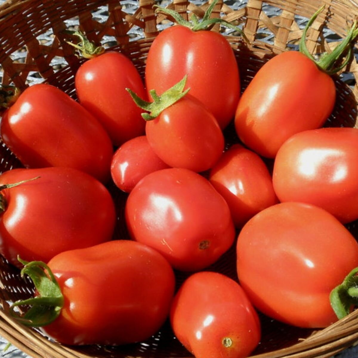 Tomato - Roma Seeds
