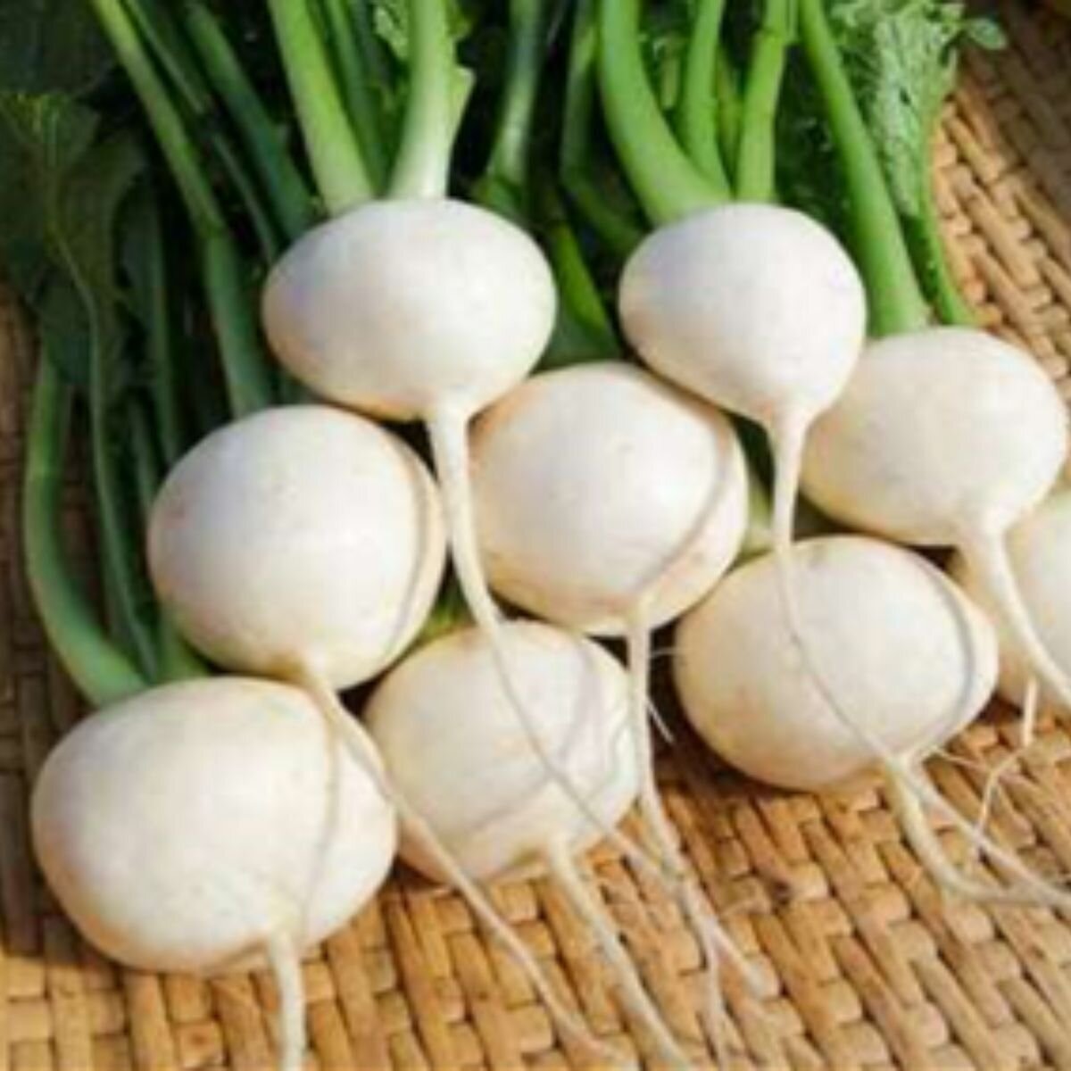 Turnip - Japanese Tokyo Market Seeds