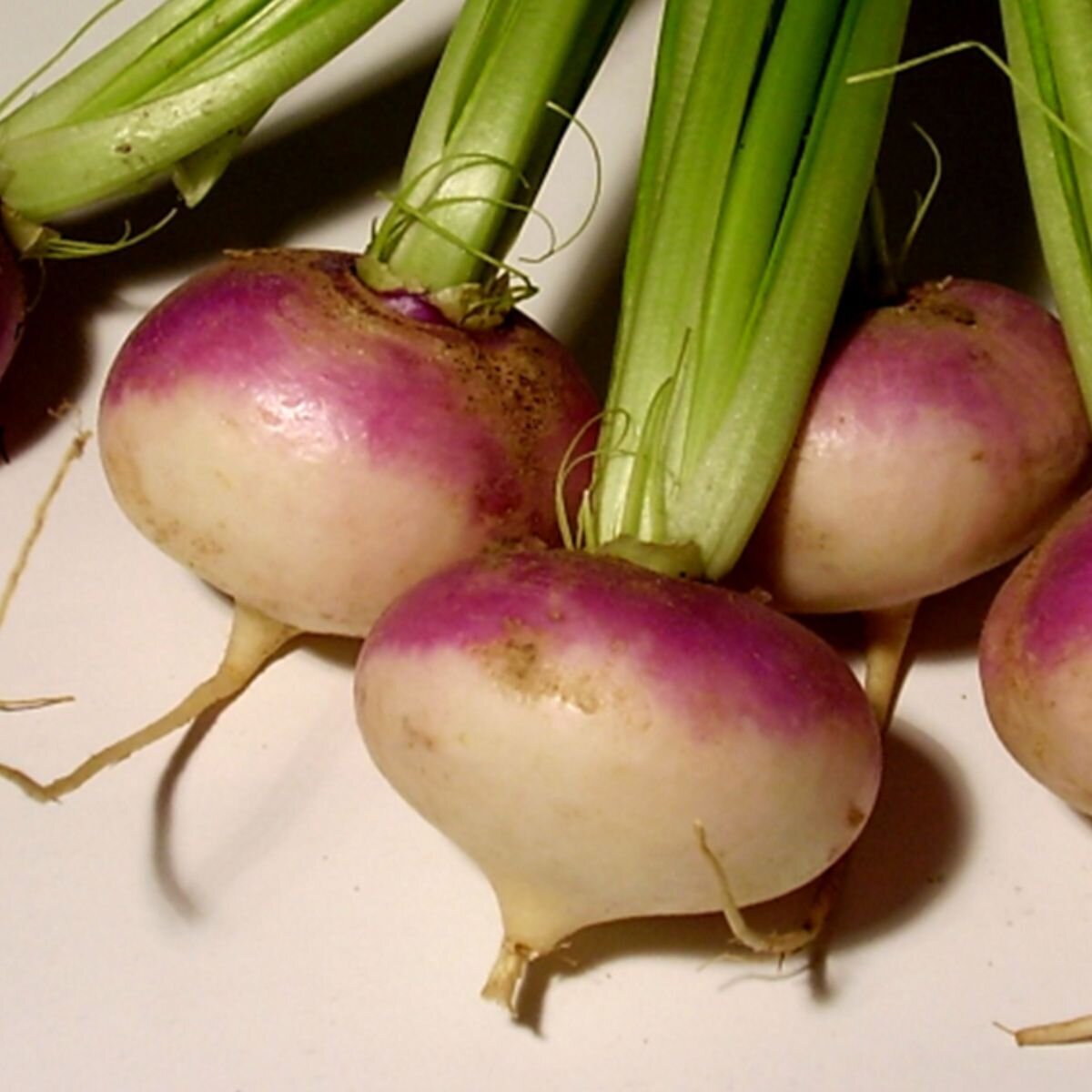 Turnip - Purple Top Milan Seeds