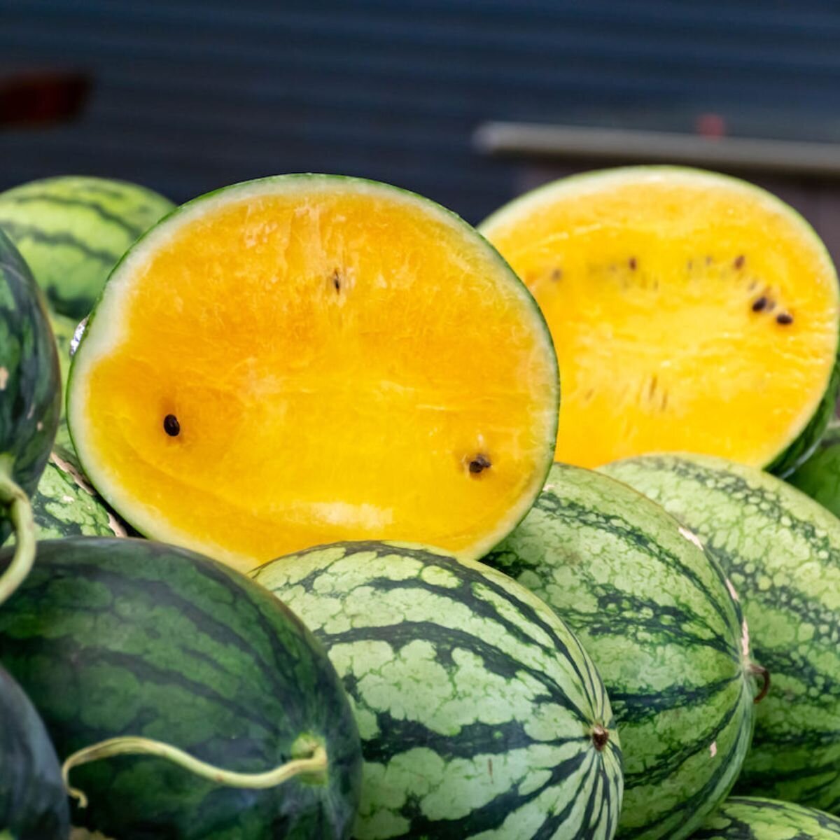 Watermelon - Golden Honey Seeds Watermelon - Golden Honey Seeds