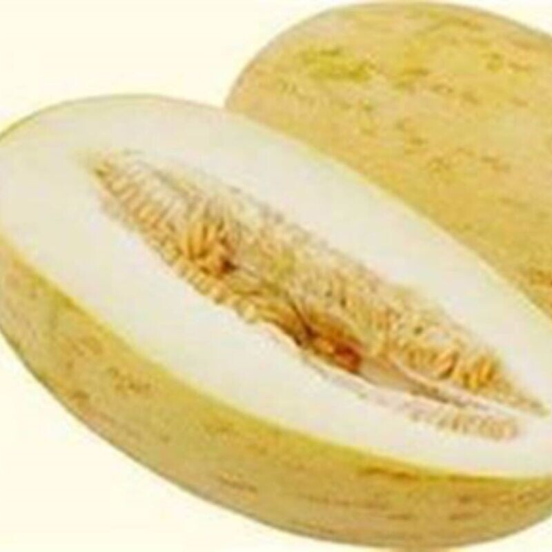 Rock Melon - Indian Cream Cobra Seeds