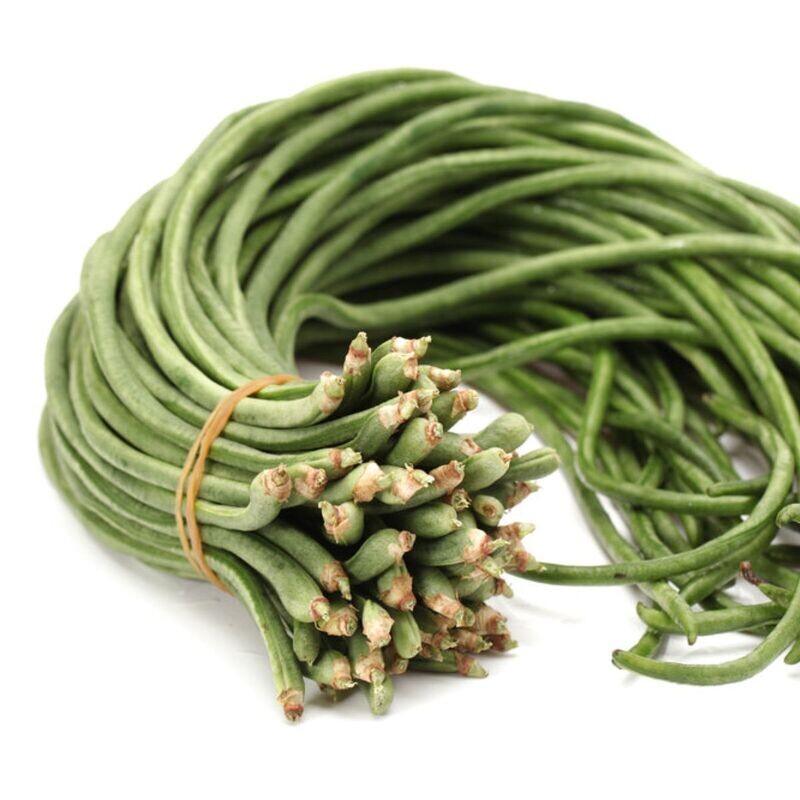 Snake Bean - Red Dragon Seeds