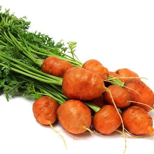 Carrot - Paris Market