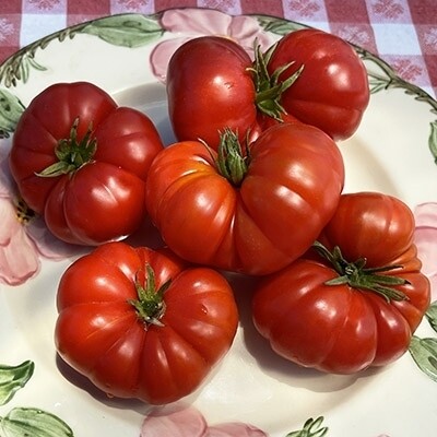 Tomato- Santorini seeds