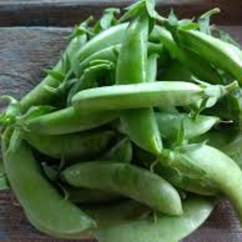 Snap Pea - Cascadia Seeds