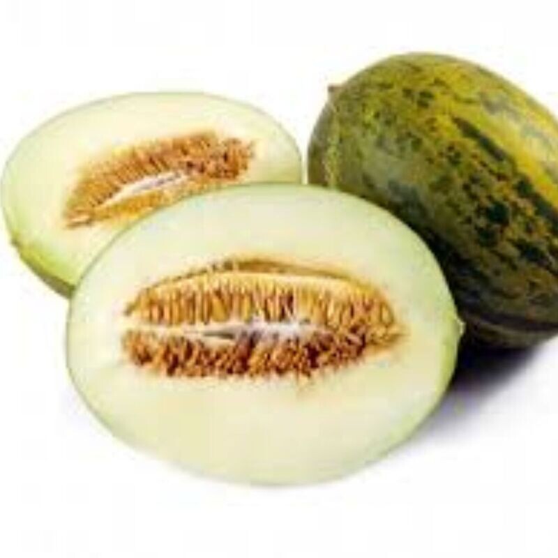 Melon - Pele De Sapo Seeds