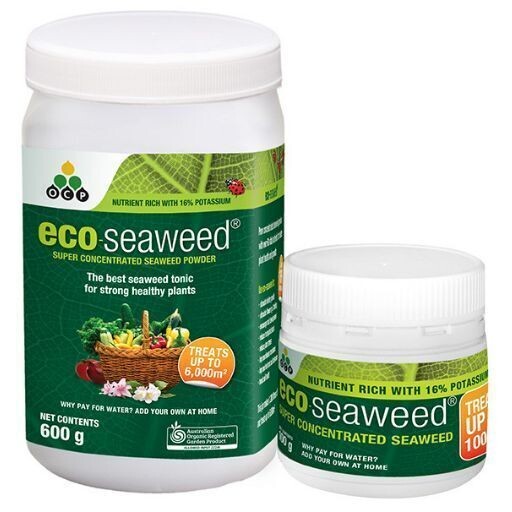 Eco-seaweed concentrated 100g