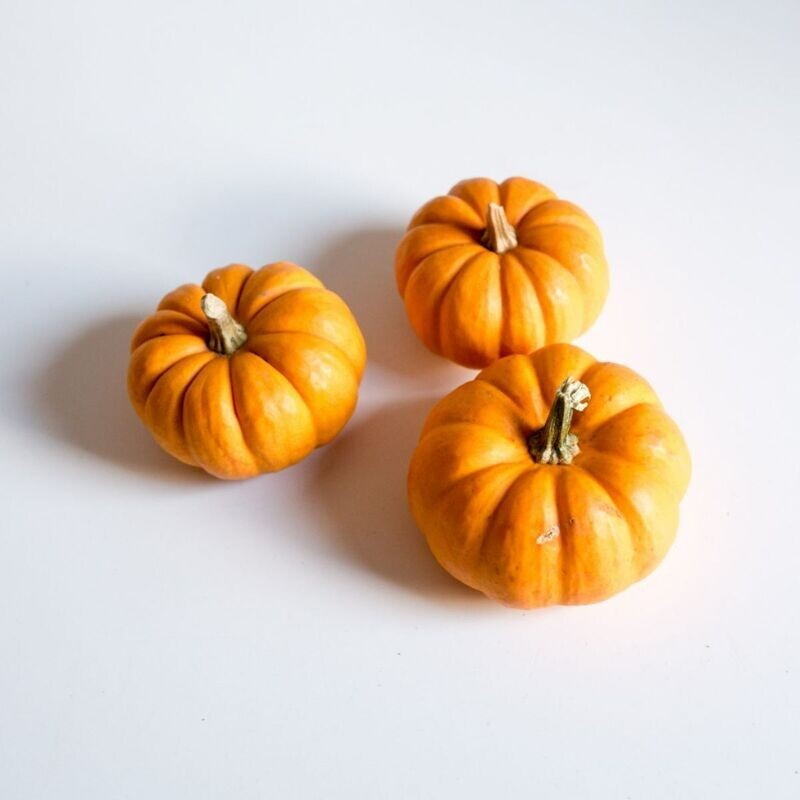 Pumpkin - Jack Be Little Seeds