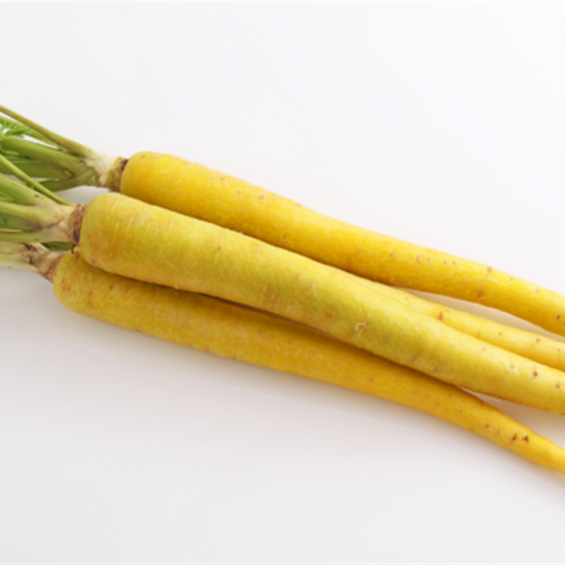 Carrot - Solar Yellow Seeds