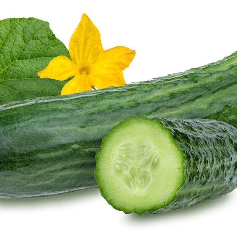 Cucumber - Marketmore 76 Seeds