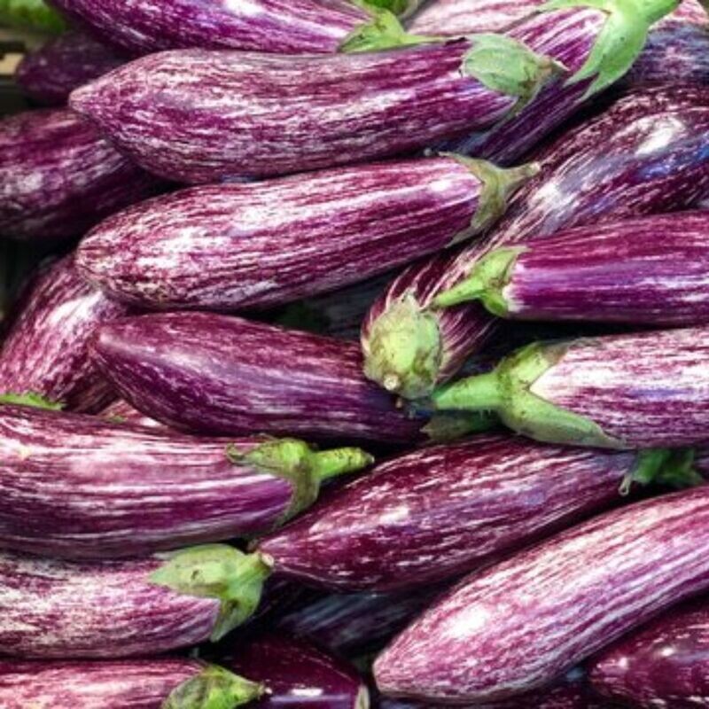 Eggplant - Tsakoniki Seeds