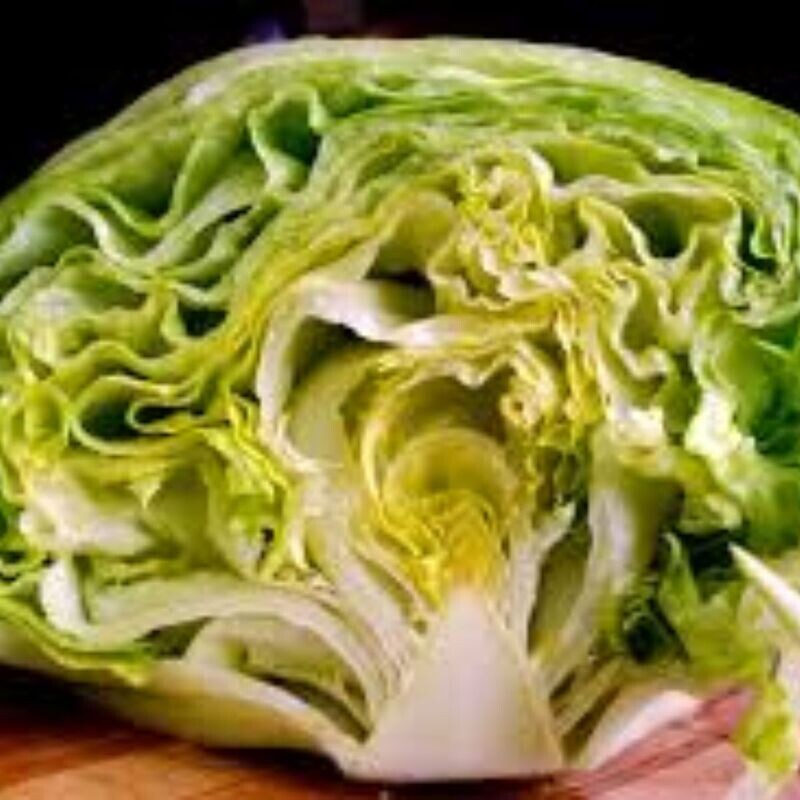 Lettuce - Iceburg Seeds