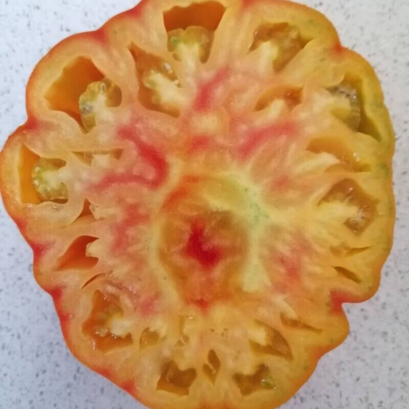 Tomato - Big Rainbow Seeds