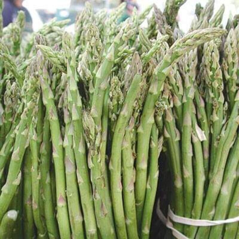 Asparagus - Mary Washington Seeds