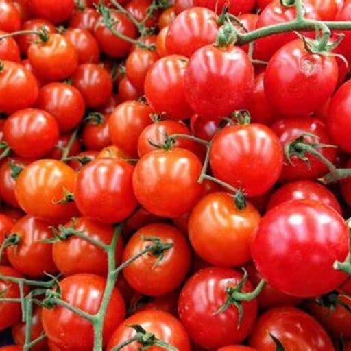 Tomato - Cherry fox Seeds