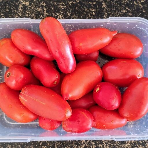 Tomato - Amish Paste Seeds