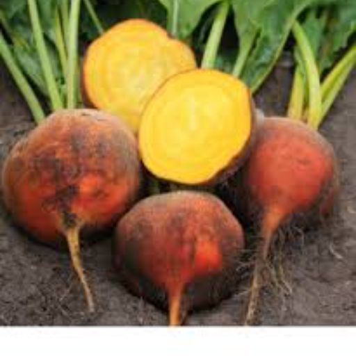 Beetroot 'Golden' Seeds
