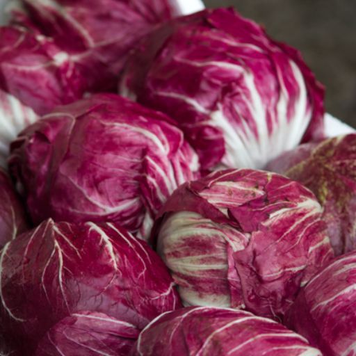 Chicory 'Red Ball" Seeds