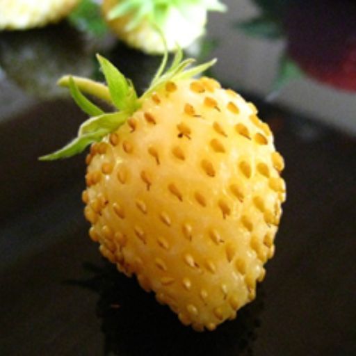 Alpine strawberry - White soul
