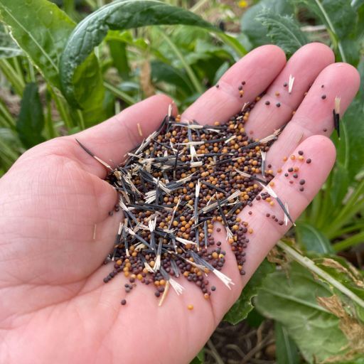 Bio fumigant No more Nematode mix