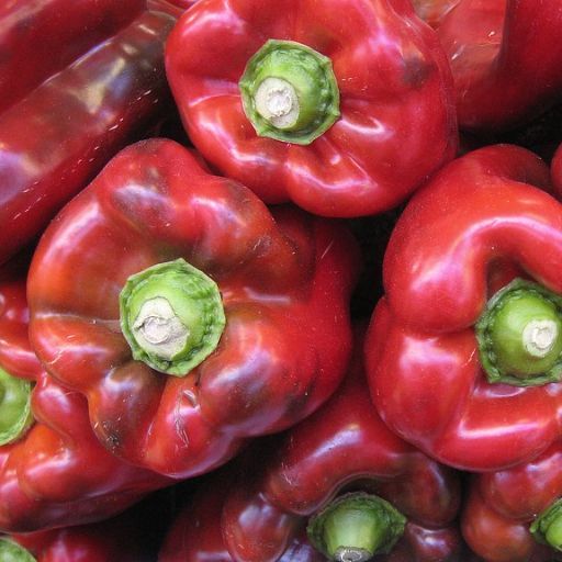 Capsicum - Chinese Giant