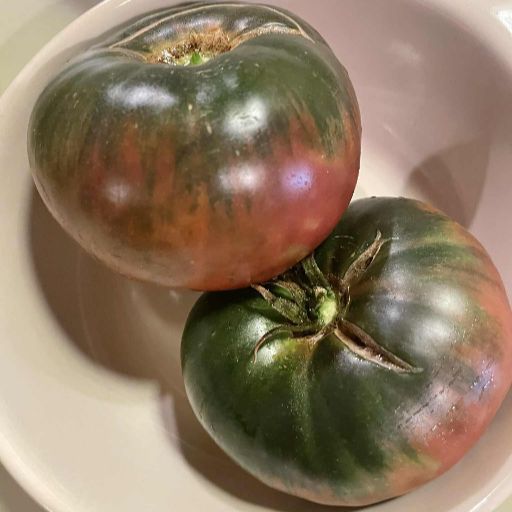 Tomato - Ananas Noire seeds