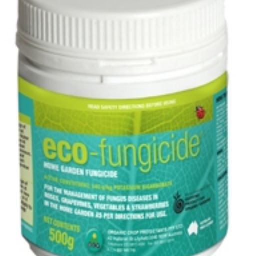 Eco-fungicide 500 g concentrate