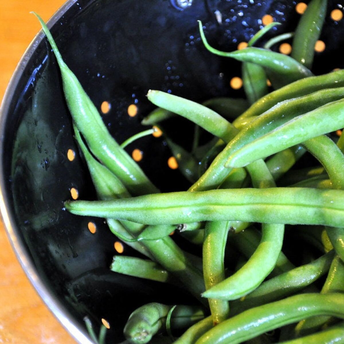 Bean - Strike Seeds Bean - Strike Seeds