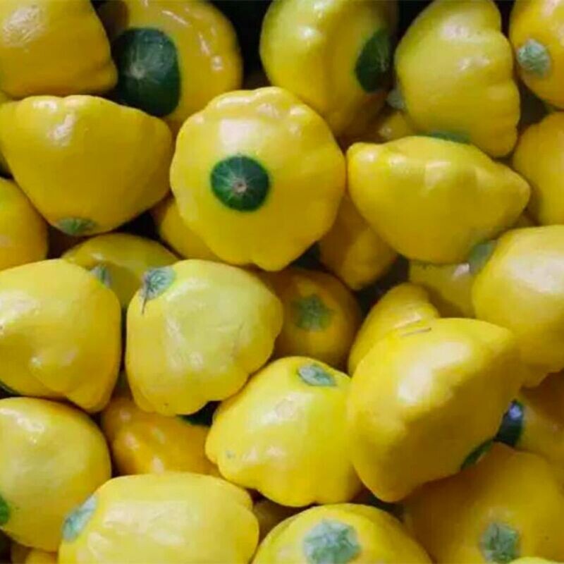 Button Squash - Scallop Yellow Seeds