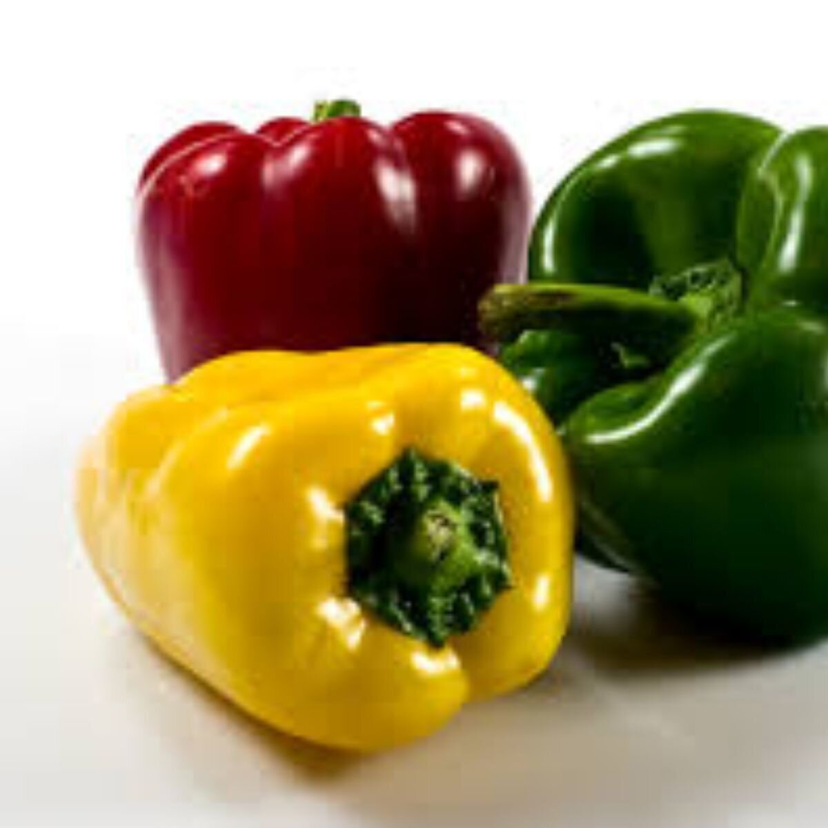 Capsicum - Californian Wonder Seeds Capsicum - Californian Wonder Seeds