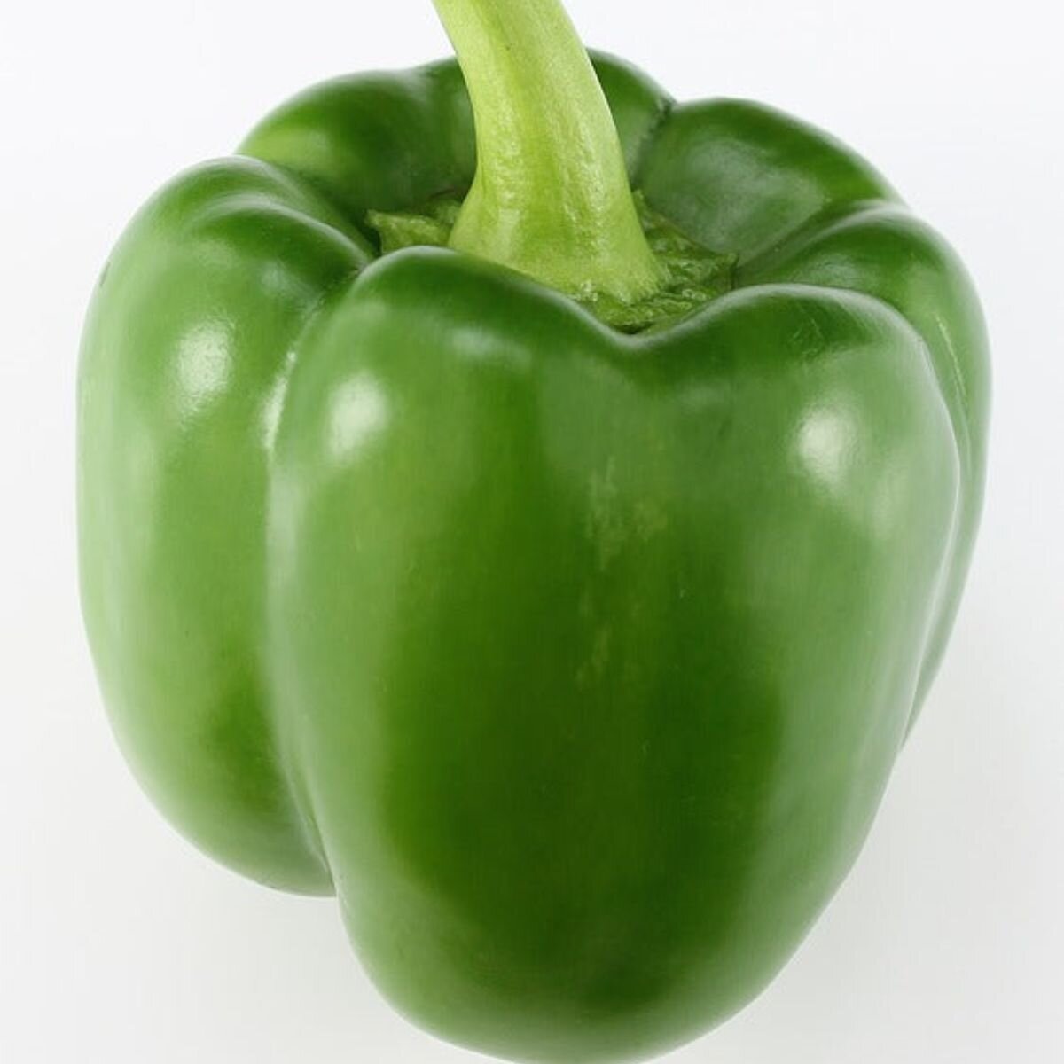 Capsicum - Emerald Giant Seeds Capsicum - Emerald Giant Seeds
