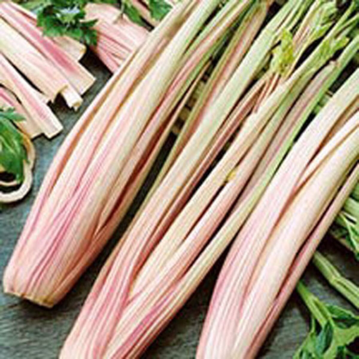 Celery - Peppermint Stick Seeds Celery - Peppermint Stick Seeds