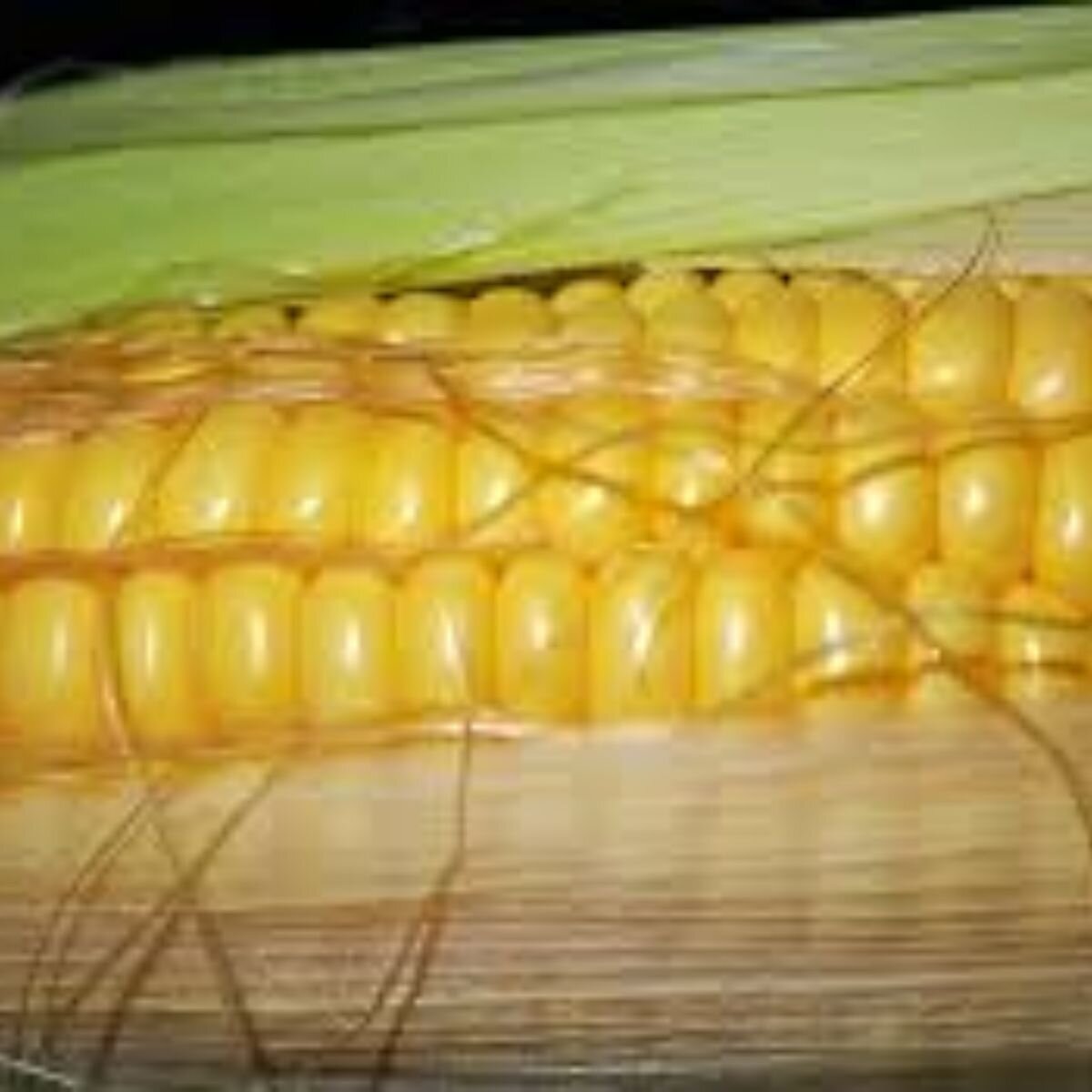 Corn - True Gold Seeds
