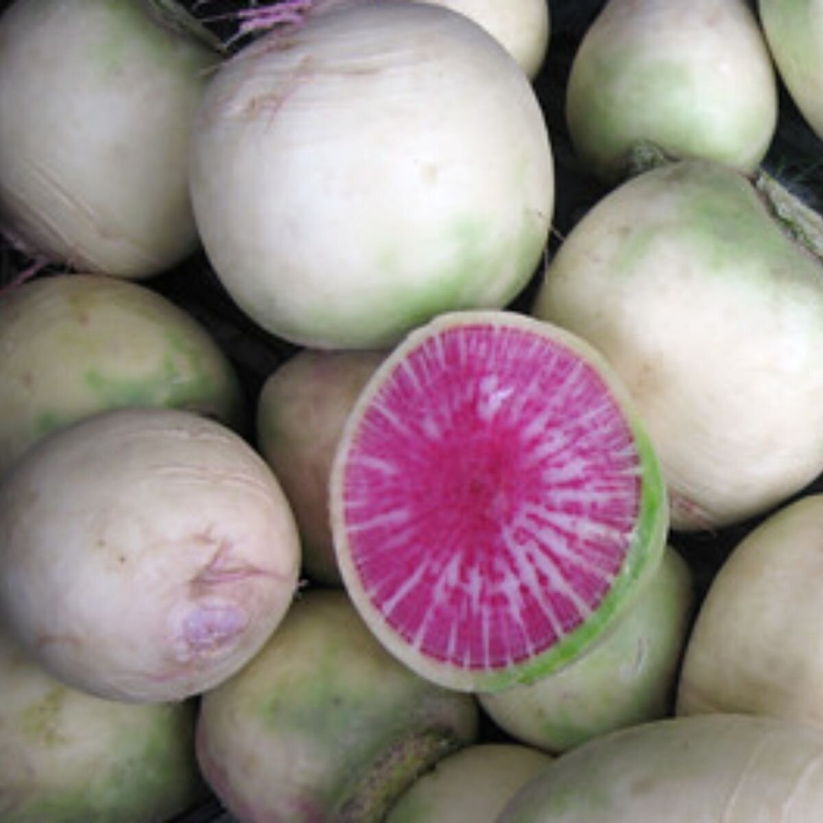 Radish - Watermelon Seeds Radish - Watermelon Seeds