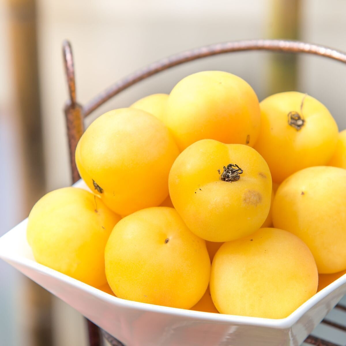 Tomato - Wapsipinicon Peach Seeds Tomato - Wapsipinicon Peach Seeds